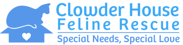 Clowder House Feline Rescue - Special Needs, Special Love
